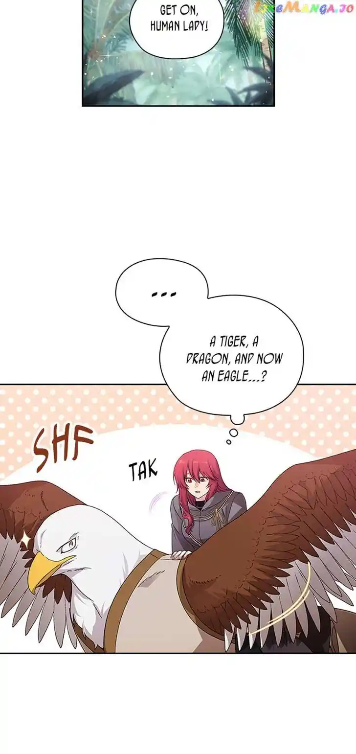 Reminiscence Adonis Ch.241