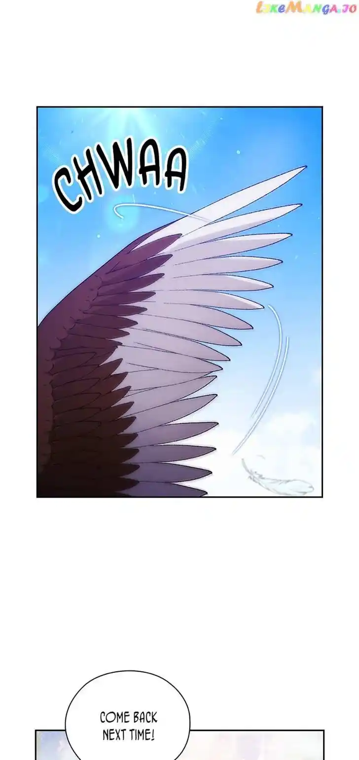 Reminiscence Adonis Ch.241