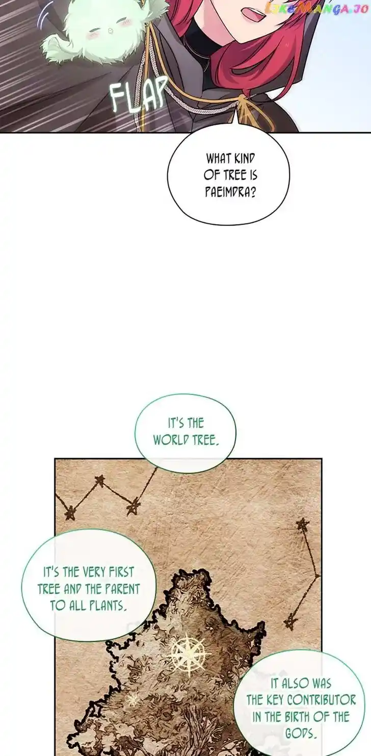 Reminiscence Adonis Ch.241