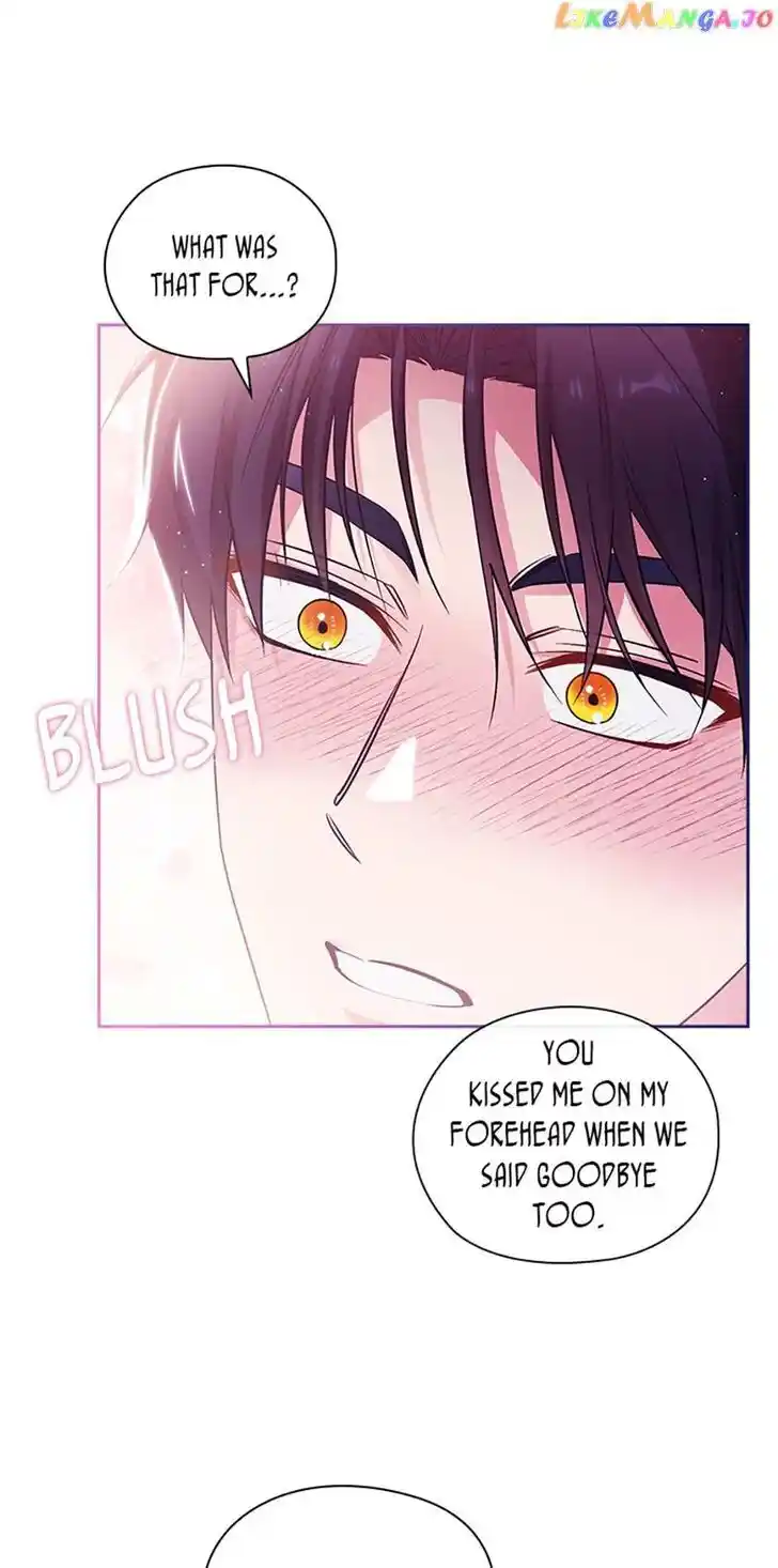 Reminiscence Adonis Ch.242