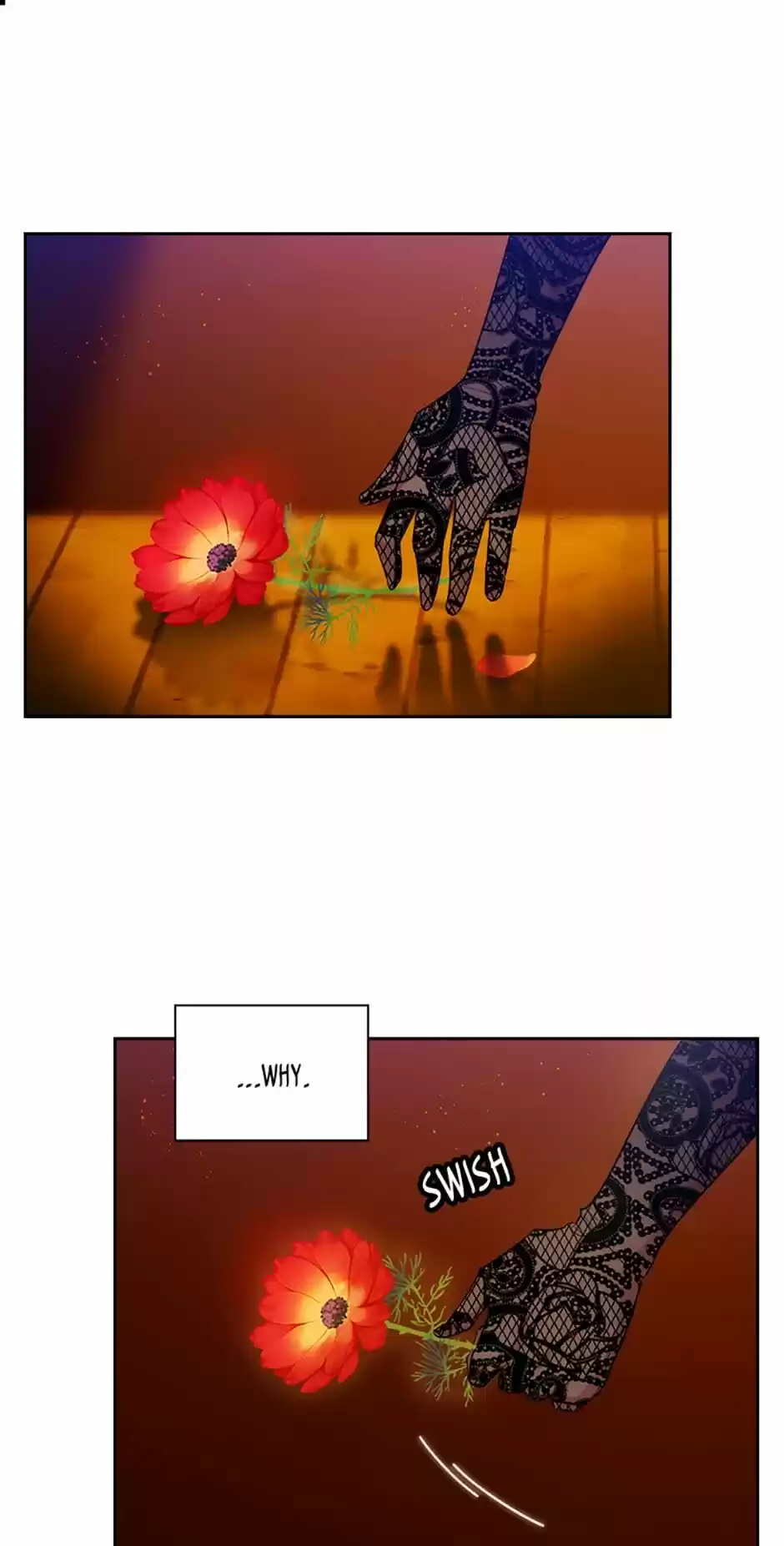 Reminiscence Adonis Chapter 161