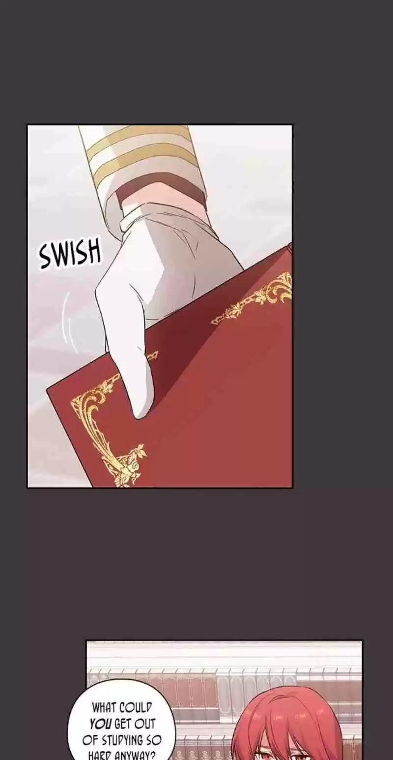 Reminiscence Adonis Chapter 172