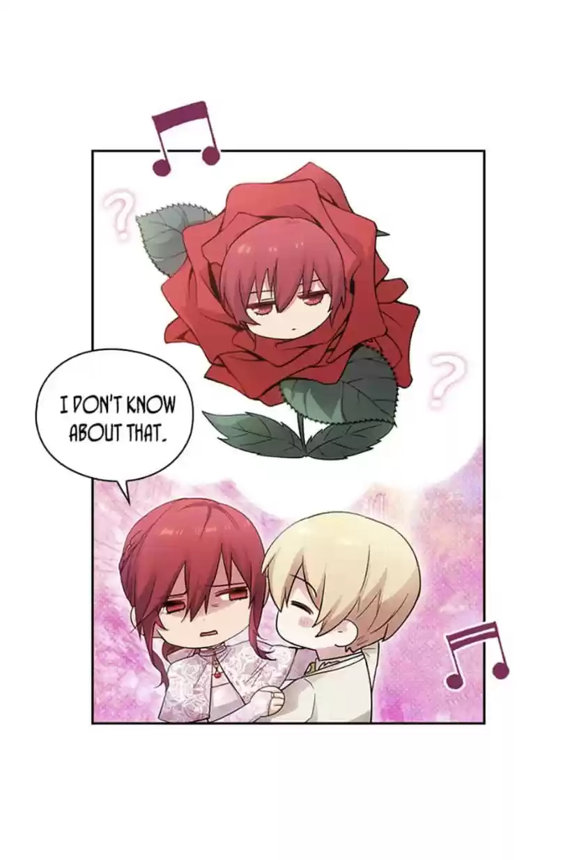 Reminiscence Adonis Chapter 178