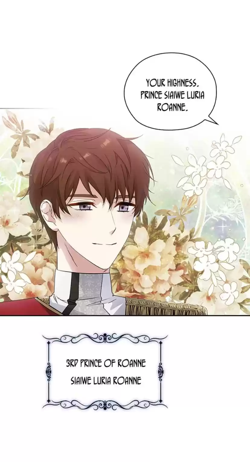 Reminiscence Adonis Chapter 178