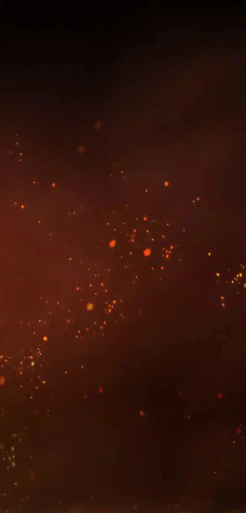 Reminiscence Adonis Chapter 243