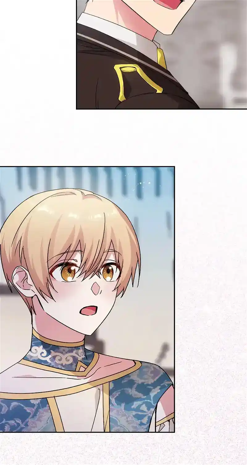 Reminiscence Adonis Chapter 243