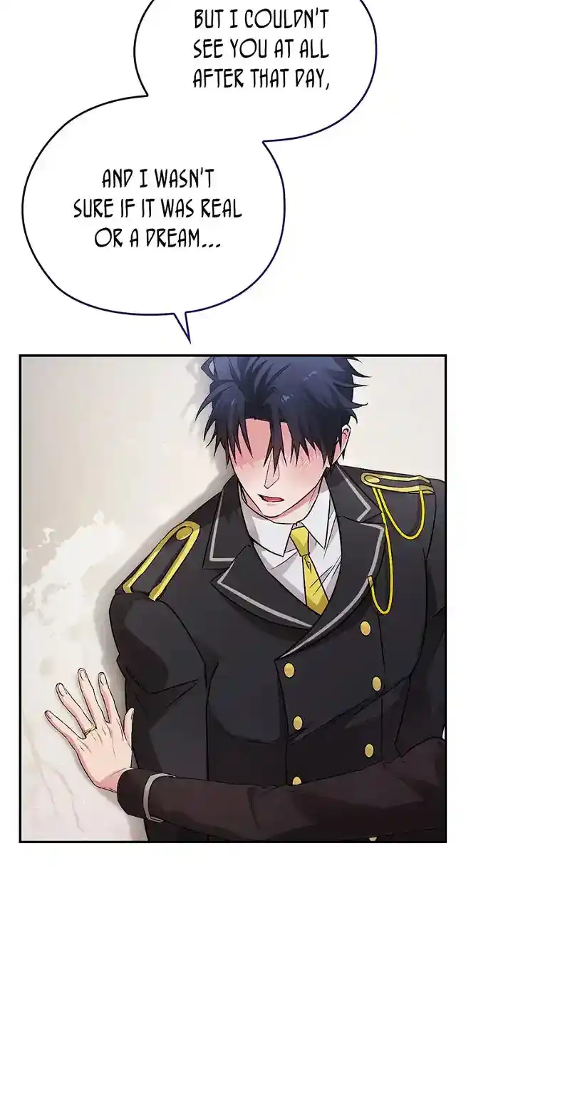 Reminiscence Adonis Chapter 246