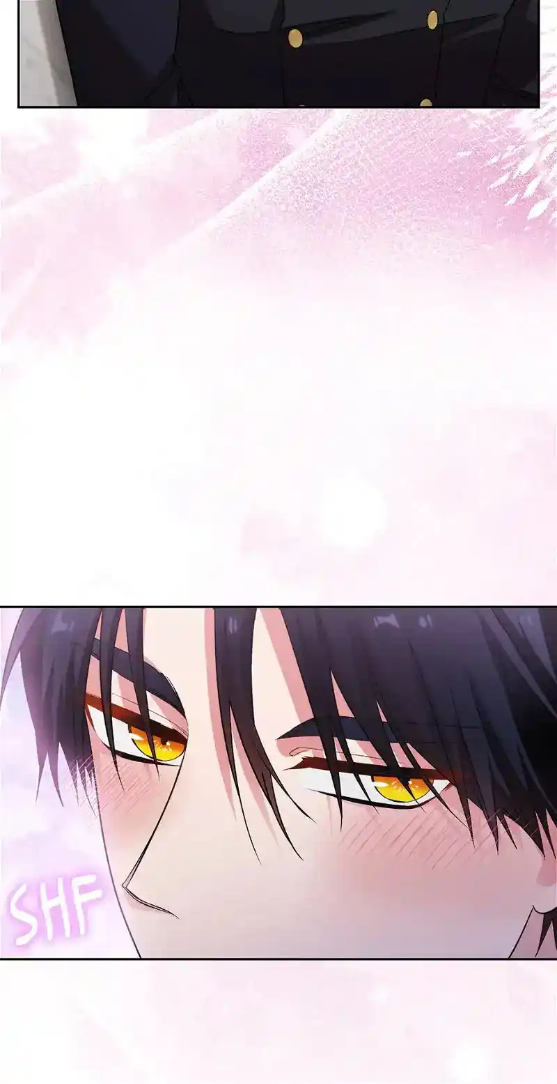 Reminiscence Adonis Chapter 246