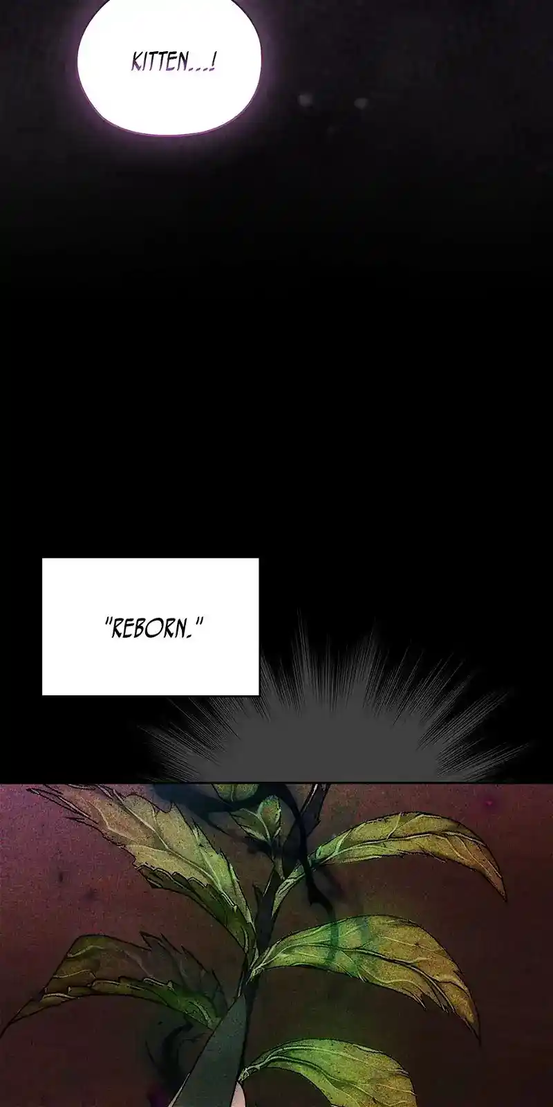 Reminiscence Adonis Chapter 250