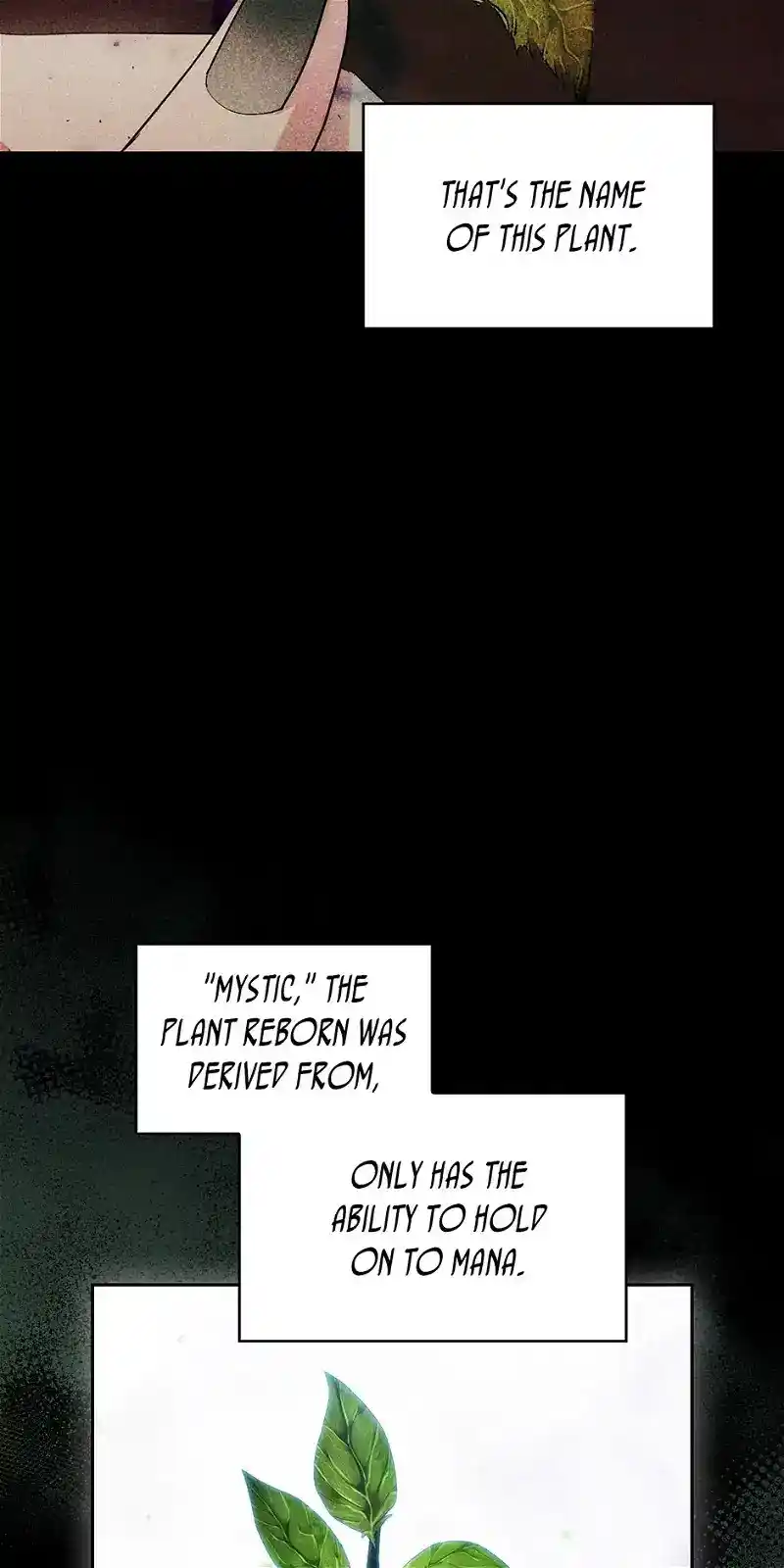 Reminiscence Adonis Chapter 250