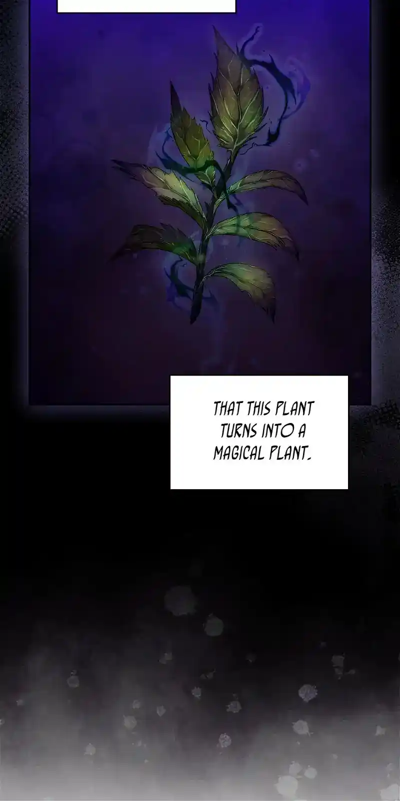 Reminiscence Adonis Chapter 250