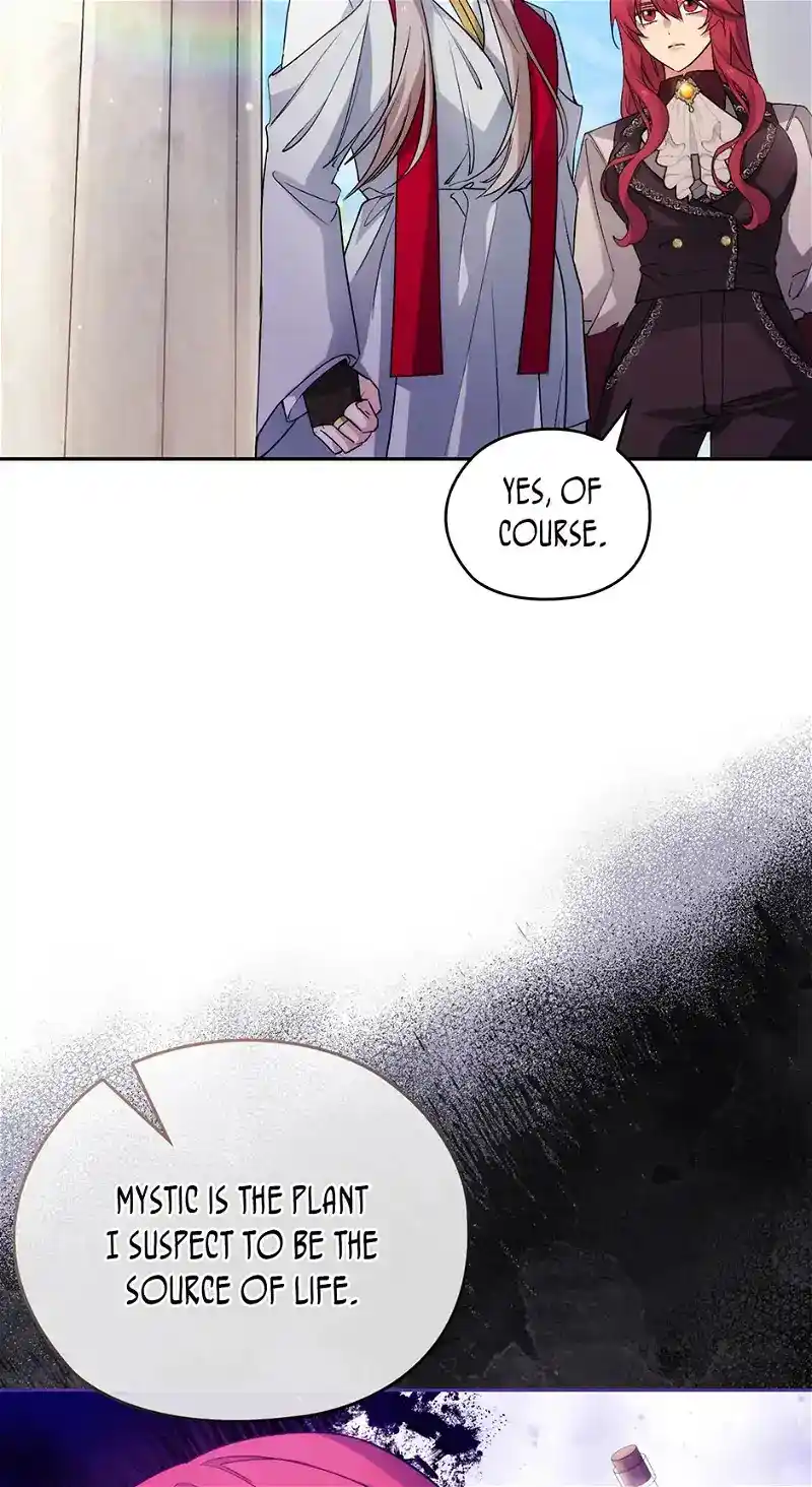 Reminiscence Adonis Chapter 250