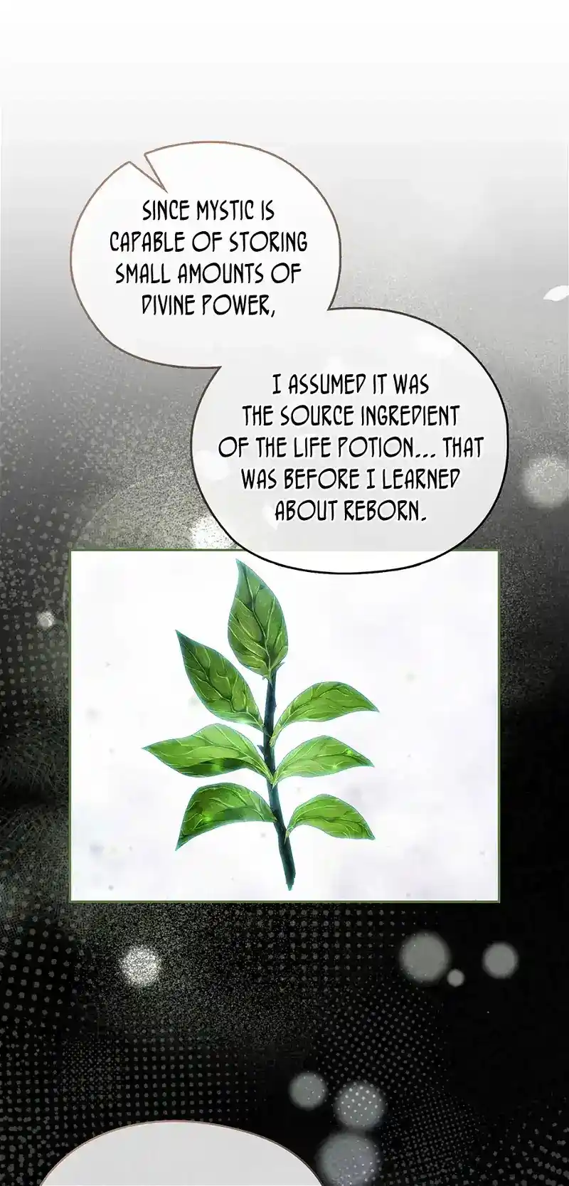 Reminiscence Adonis Chapter 251