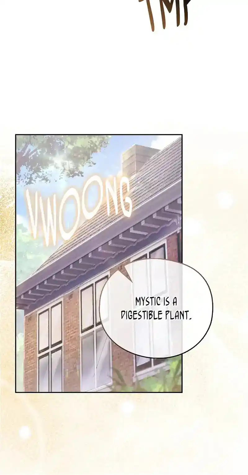 Reminiscence Adonis Chapter 251