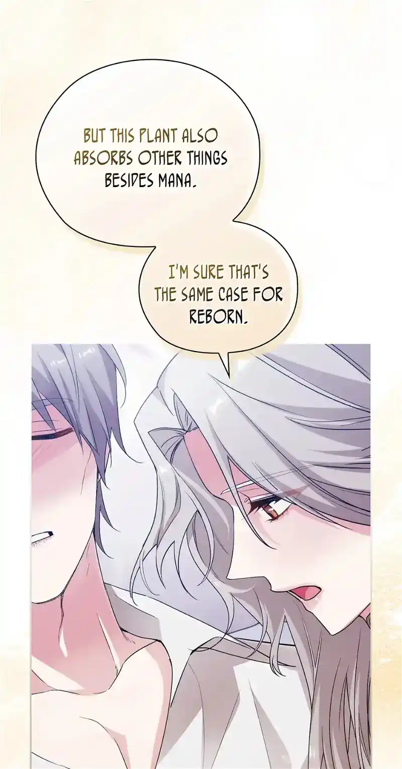 Reminiscence Adonis Chapter 251