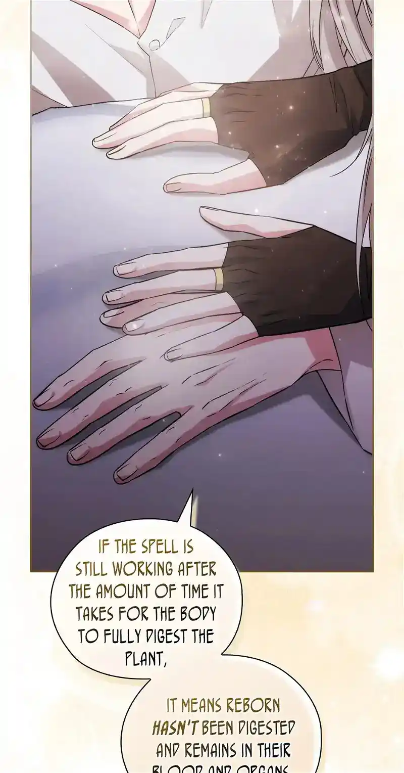 Reminiscence Adonis Chapter 251