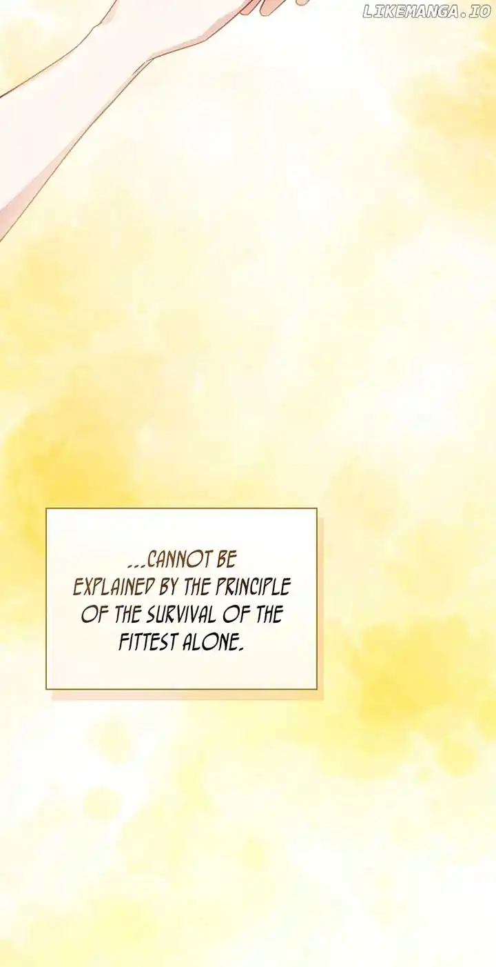 Reminiscence Adonis Chapter 273