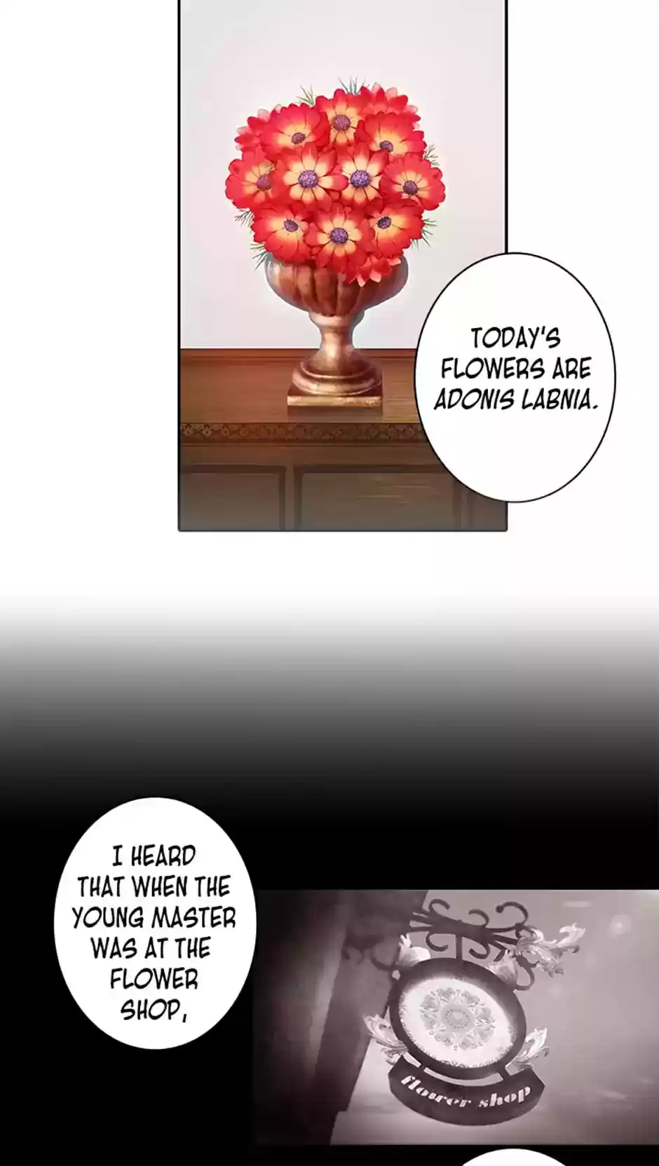 Reminiscence Adonis Vol.1 Ch.2