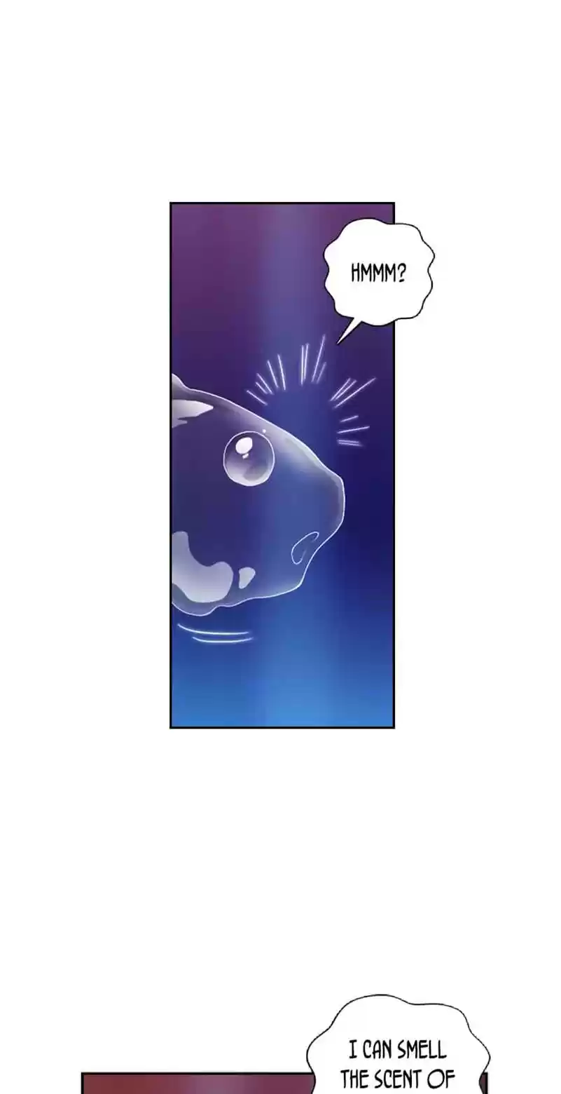 Reminiscence Adonis Vol.2 Ch.37