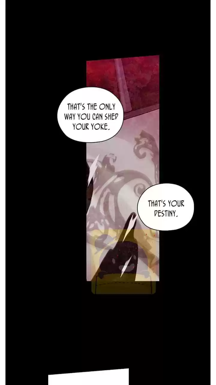 Reminiscence Adonis Vol.3 Ch.88