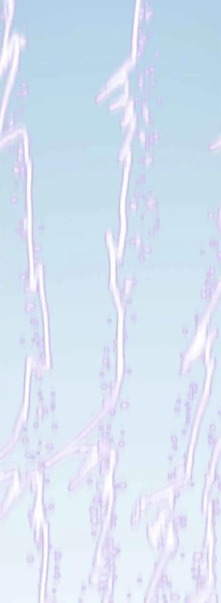 Return of the Scholar 6