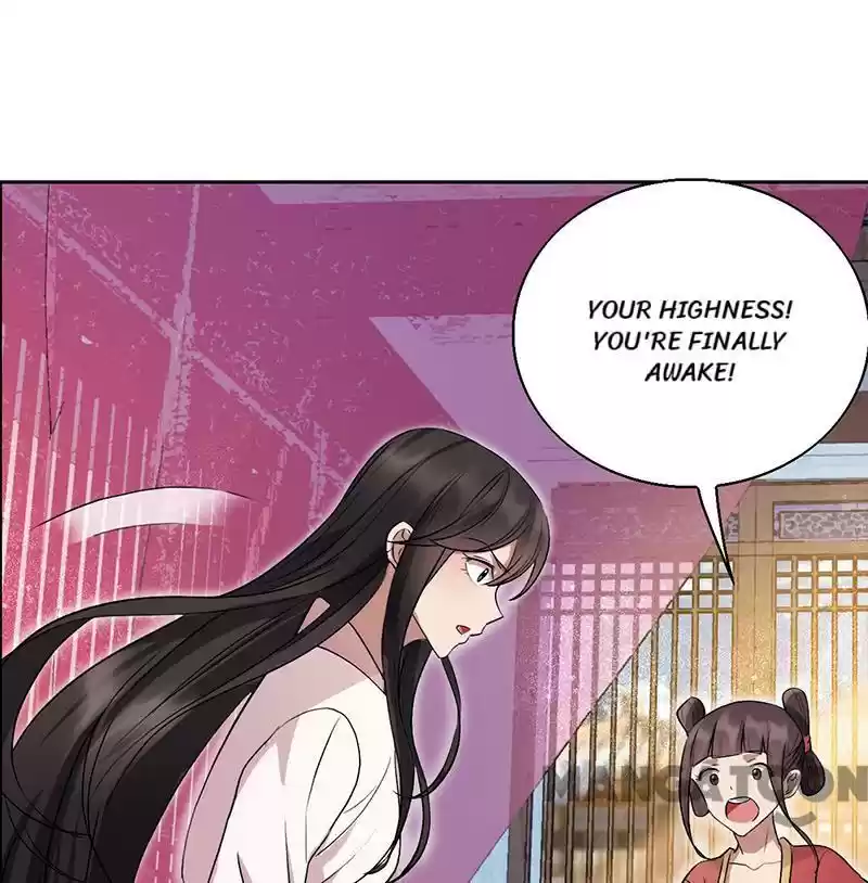 Revenge of a Fierce Princess Chapter 163