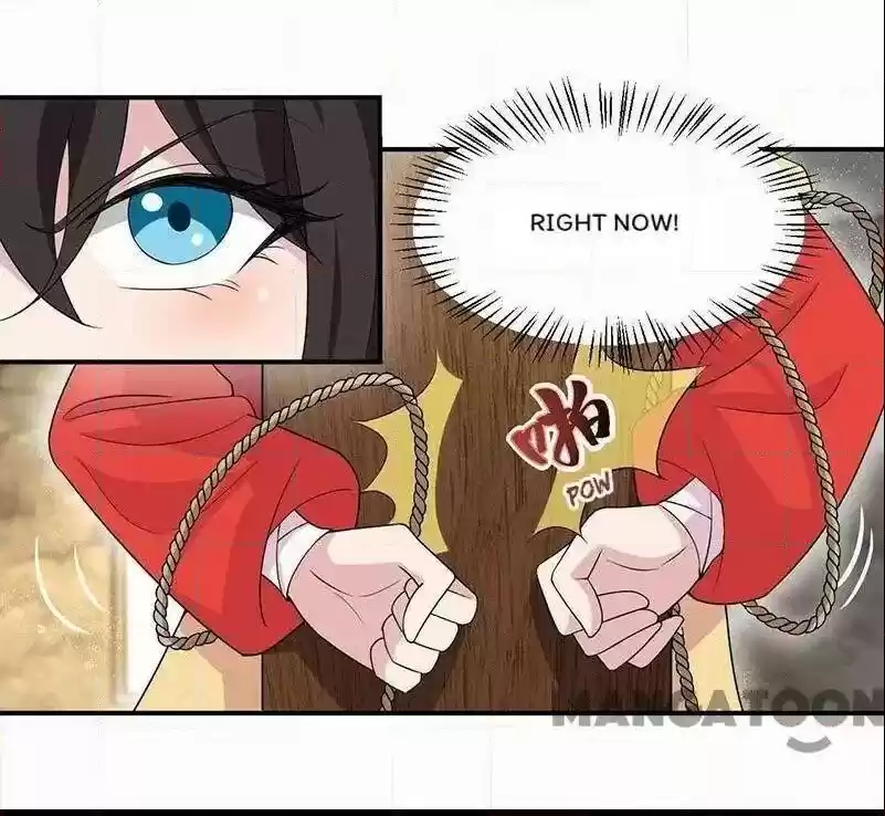 Revenge of a Fierce Princess Chapter 207