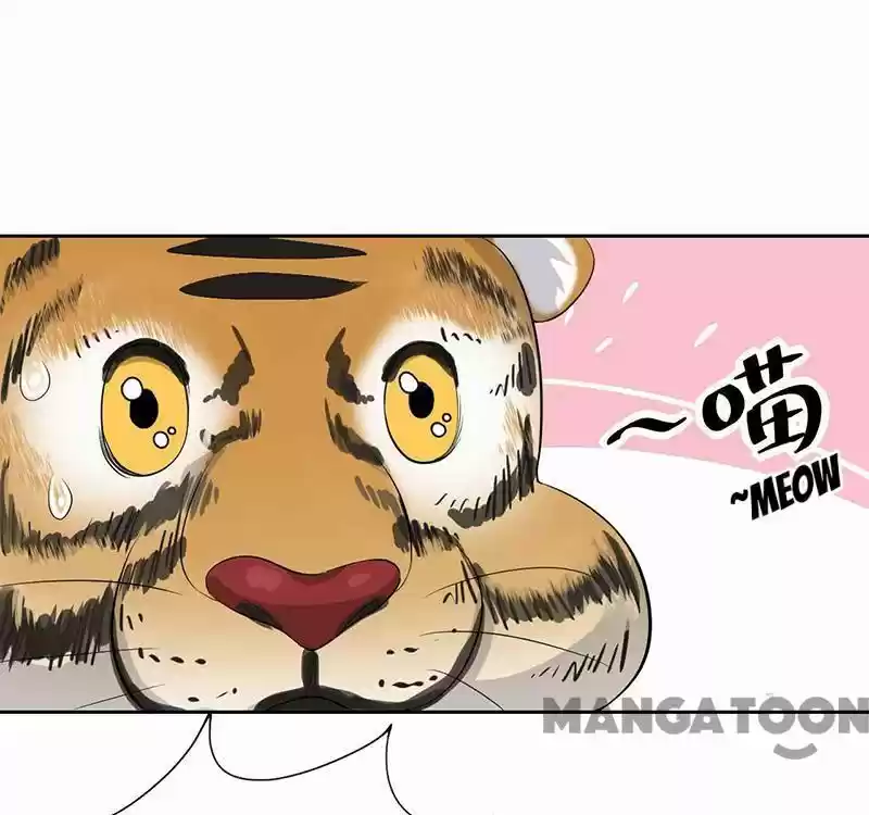 Revenge Of A Fierce Princess Chapter 227