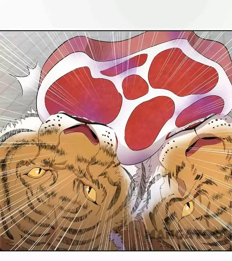 Revenge Of A Fierce Princess Chapter 227