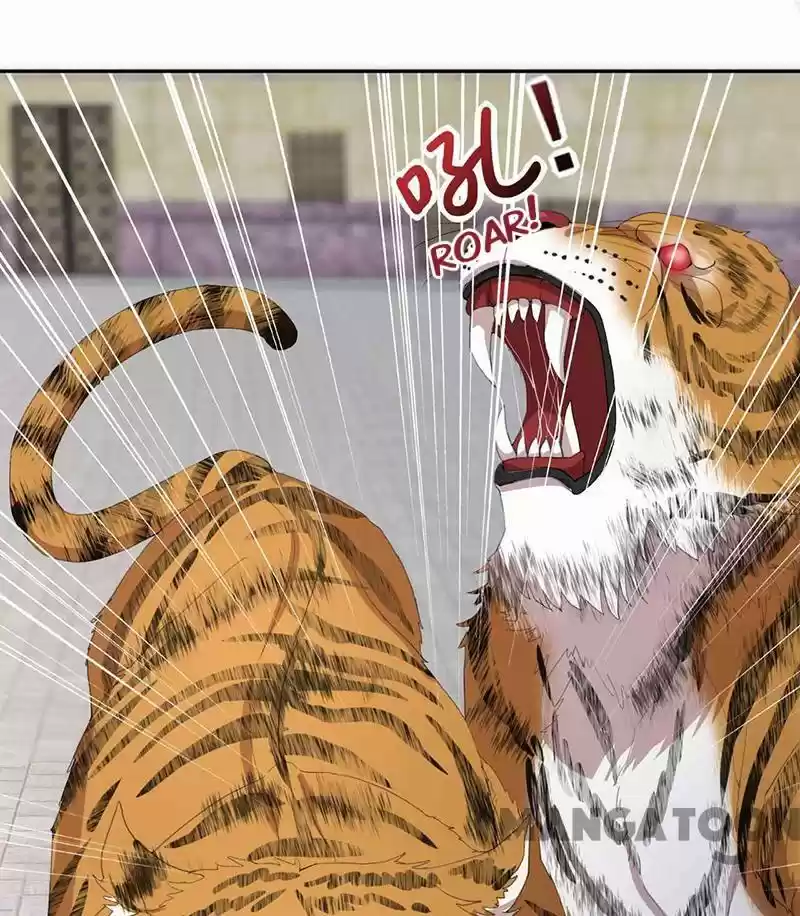 Revenge Of A Fierce Princess Chapter 227