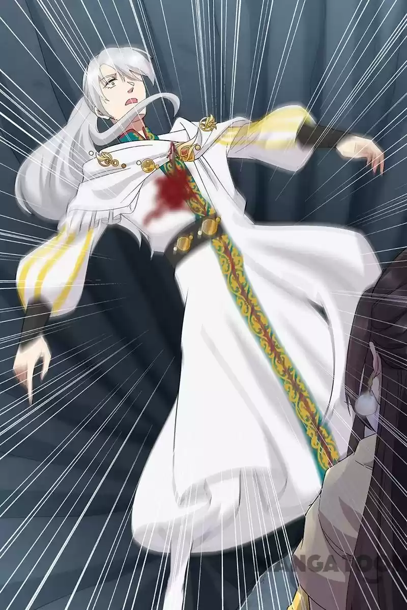 Revenge Of A Fierce Princess Chapter 244