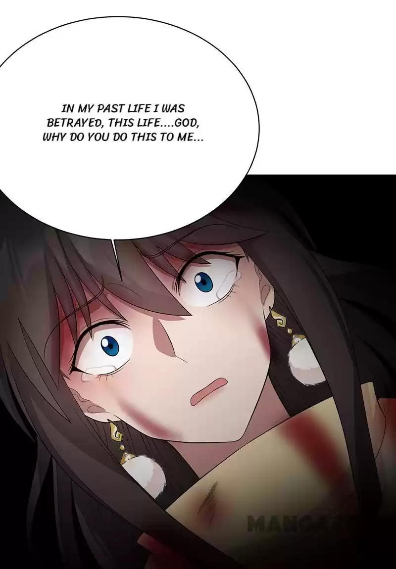 Revenge Of A Fierce Princess Chapter 249