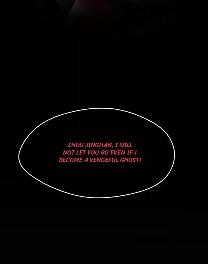 Revenge Of A Fierce Princess Chapter 249