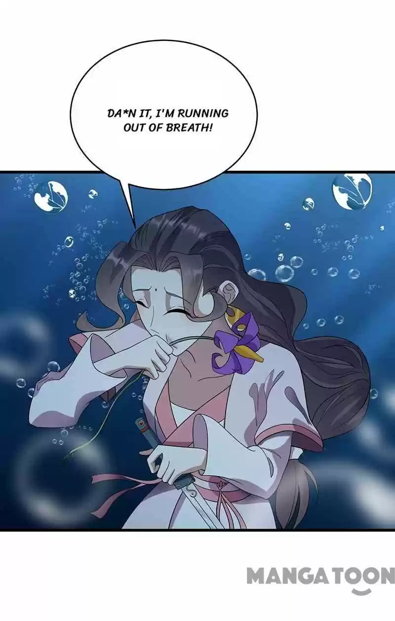 Revenge Of A Fierce Princess Chapter 325