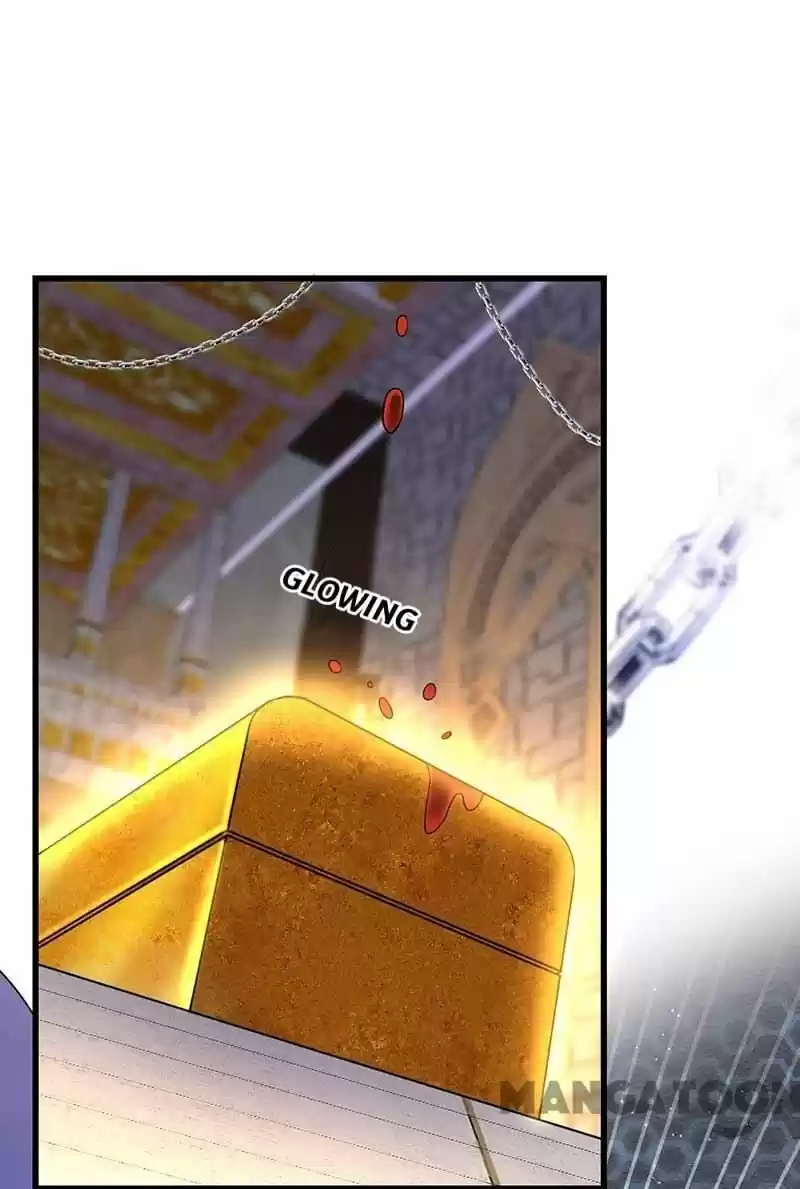 Revenge Of A Fierce Princess Chapter 347