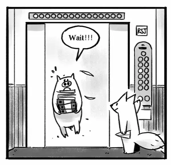 Roar Street Journal 1