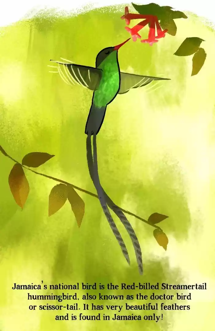 Roar Street Journal 100