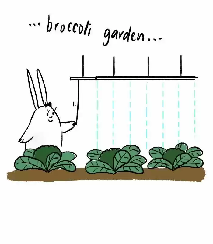 Roar Street Journal 101