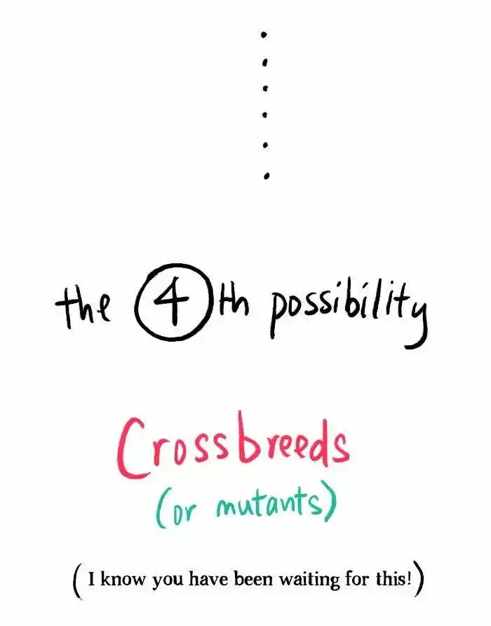 Roar Street Journal 101