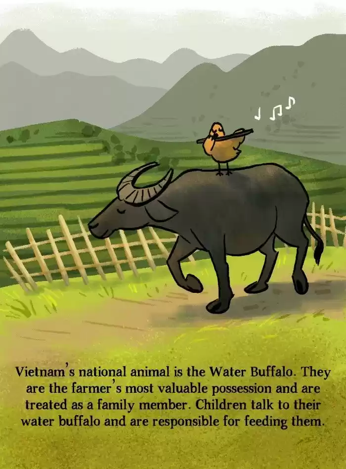 Roar Street Journal 102