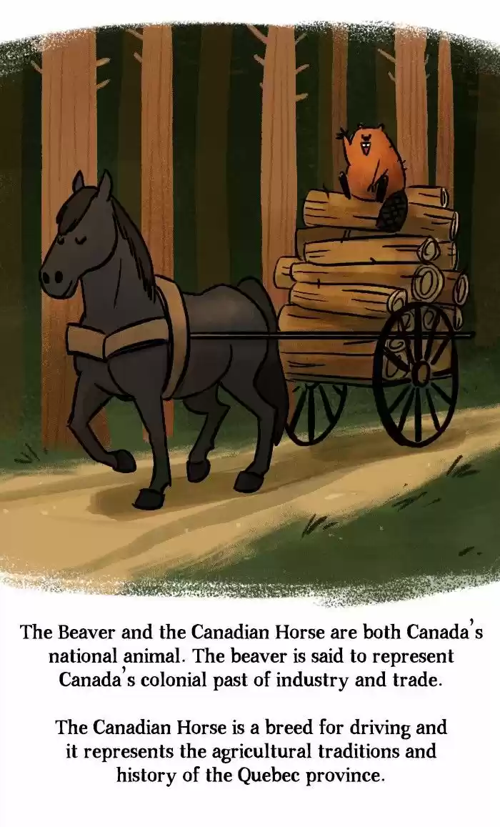 Roar Street Journal 104