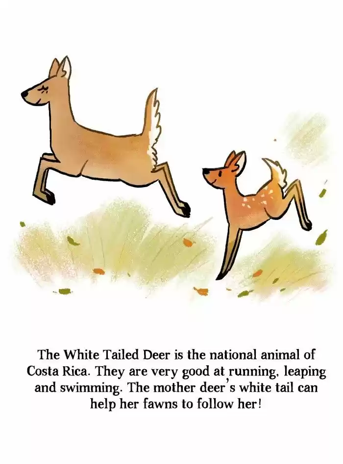 Roar Street Journal 106