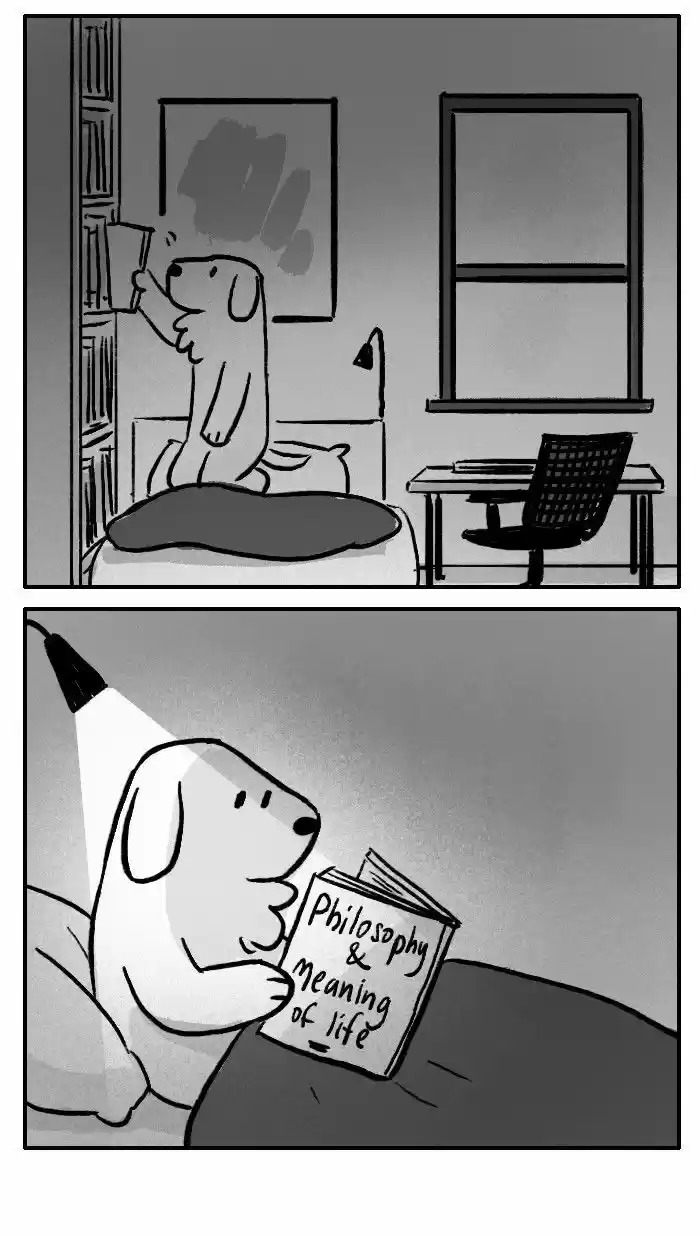 Roar Street Journal 107