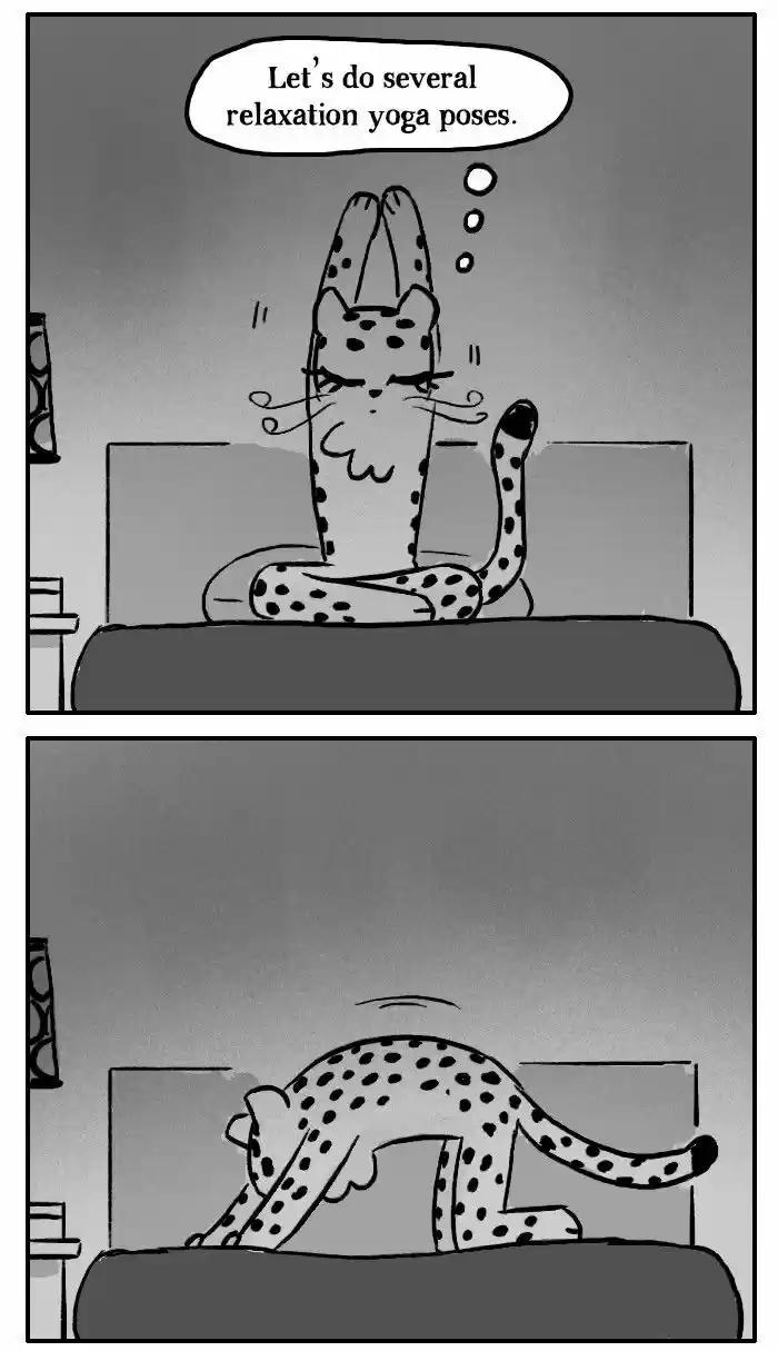 Roar Street Journal 107