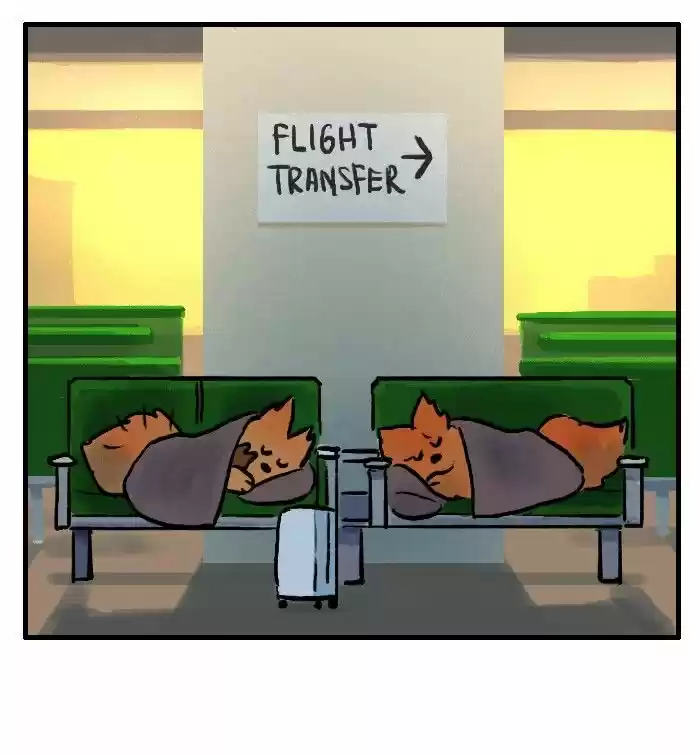 Roar Street Journal 108