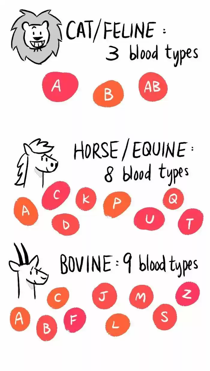 Roar Street Journal 112