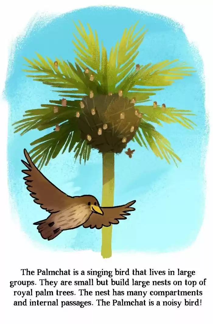 Roar Street Journal 112