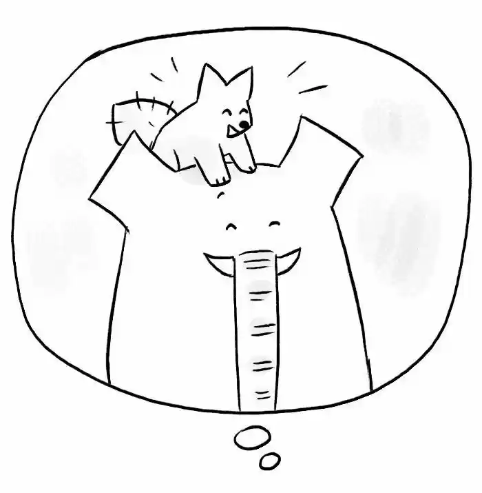 Roar Street Journal 113