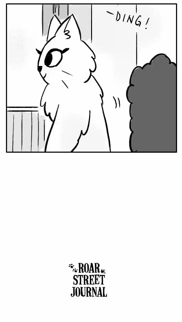 Roar Street Journal 118