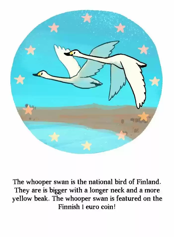 Roar Street Journal 118